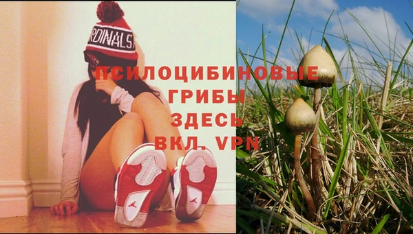 a pvp Балабаново